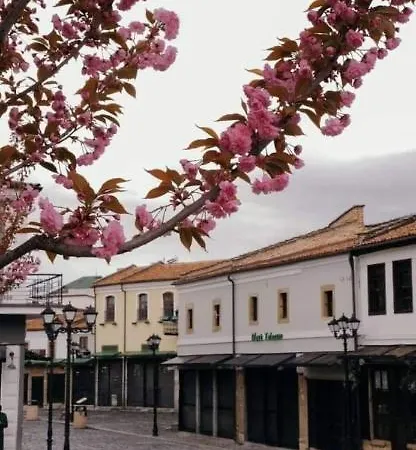 Tradicional Bazaar Villa Korce