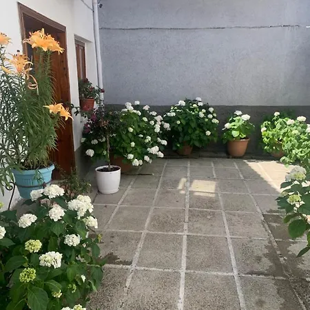 Tradicional Bazaar *