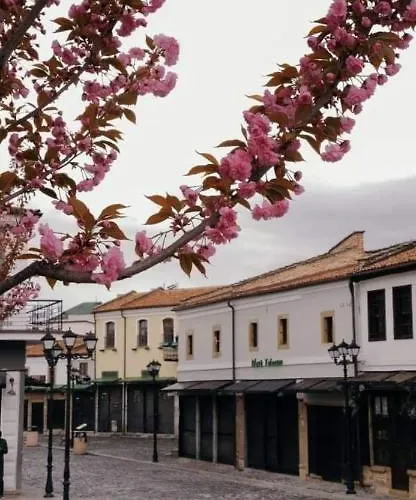 Tradicional Bazaar Villa Korce