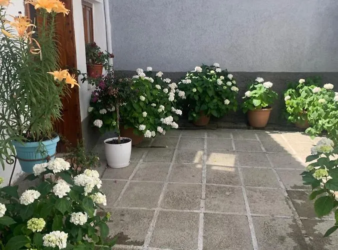 Tradicional Bazaar *